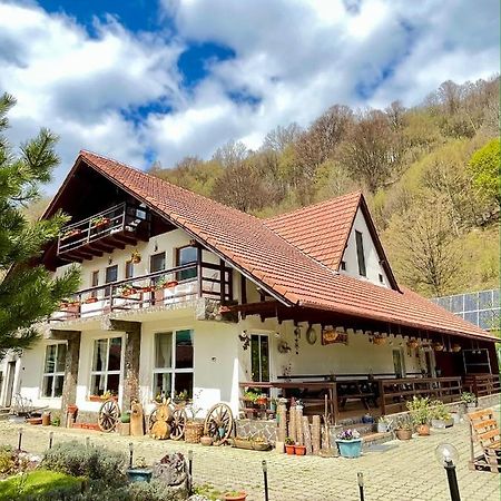 Pensiunea Piatra-Craiului Zărneşti Buitenkant foto