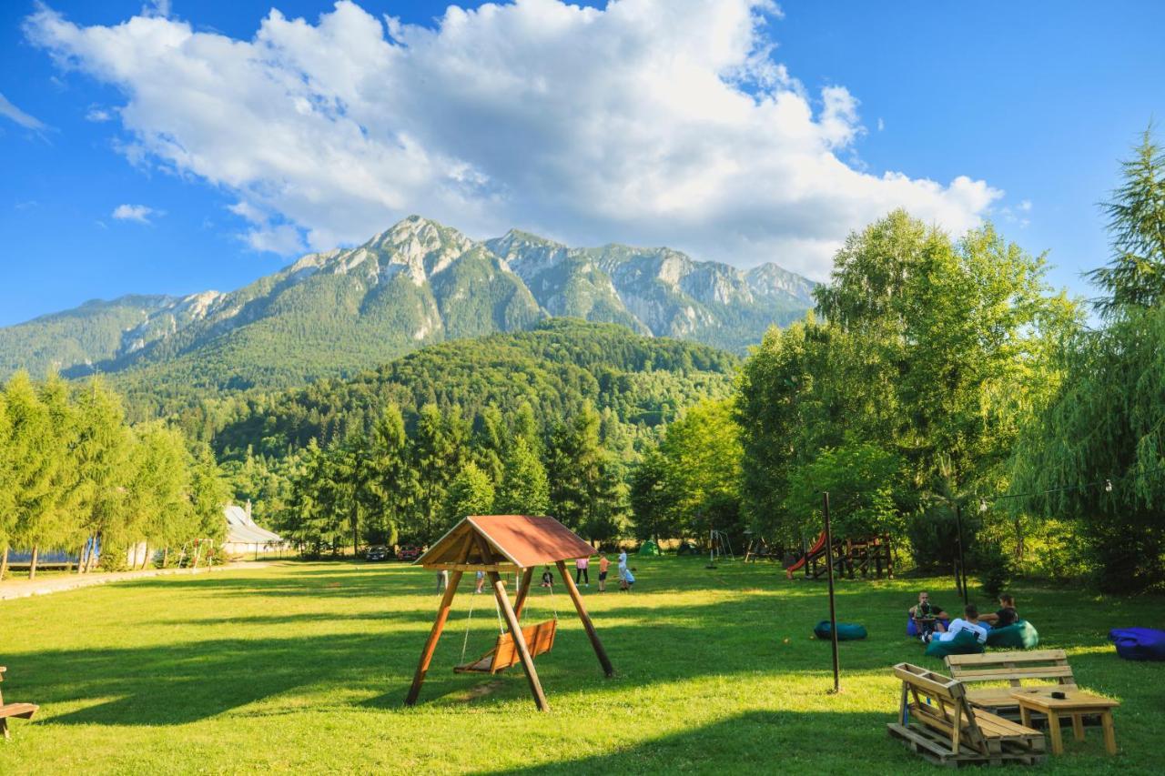 Pensiunea Piatra-Craiului Zărneşti Buitenkant foto